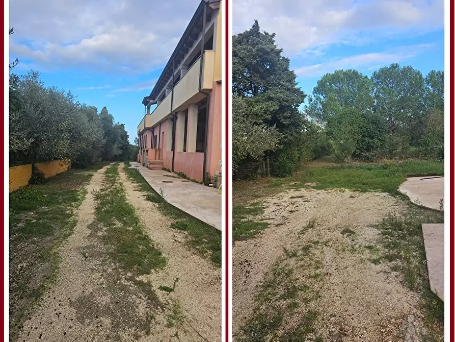 Immagine 1 di Albergo/B&B/Residence in affitto  a Siniscola