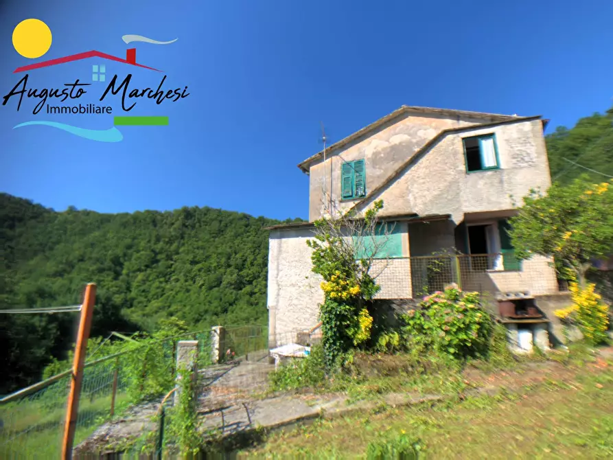 Immagine 1 di Villa in vendita  in Via Liteggia a Avegno