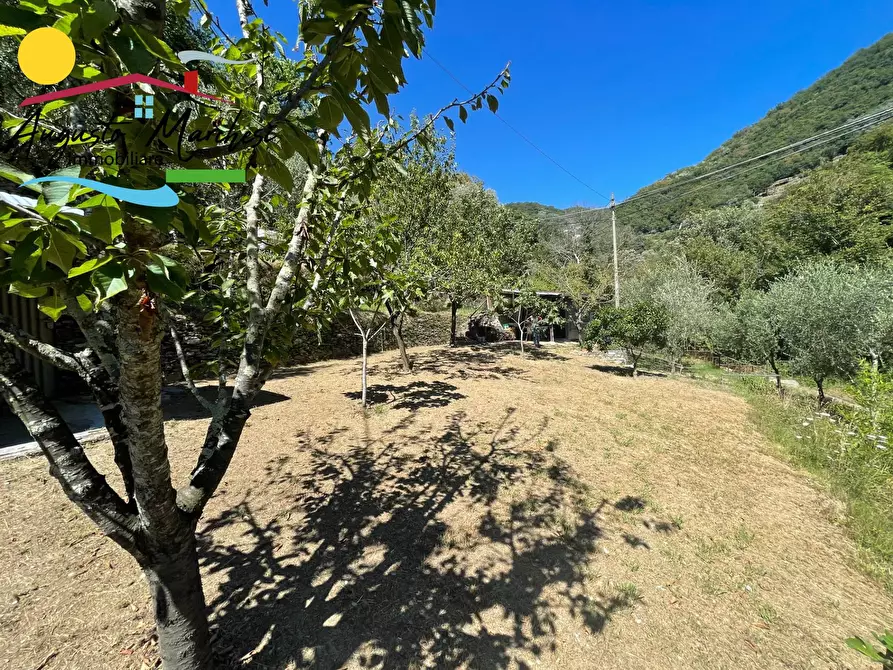Immagine 1 di Terreno edificabile in vendita  in Passo Selvatico a Avegno