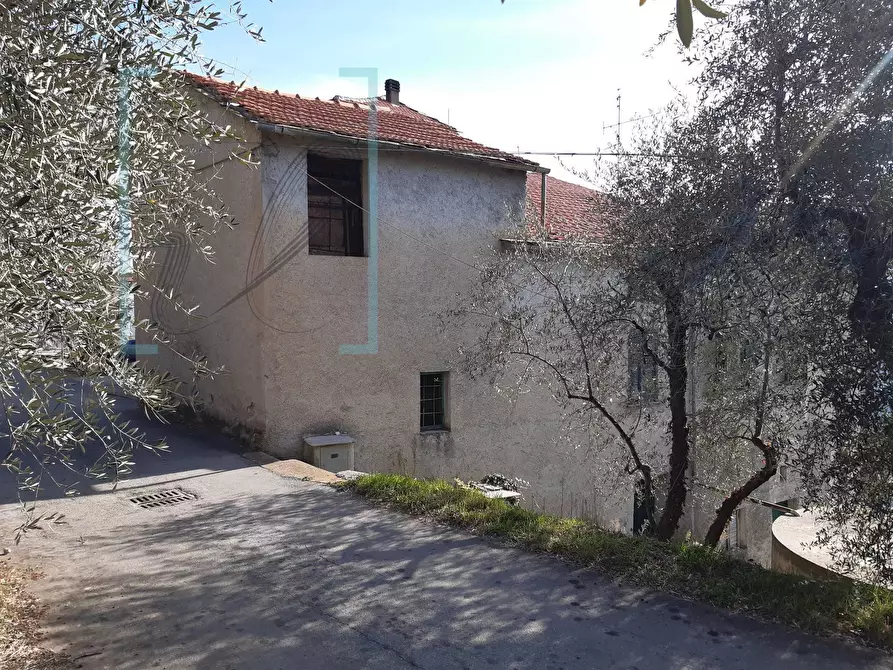 Immagine 1 di Rustico / casale in vendita  in Borgata aracà a Montalto Carpasio