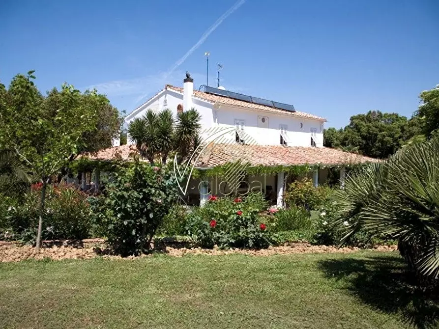 Immagine 1 di Villa in vendita  in Nibbiaia a Rosignano Marittimo