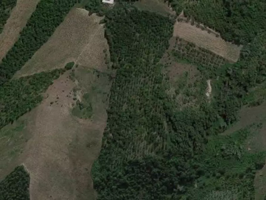 Immagine 1 di Terreno edificabile in vendita  in sparazzano a Teramo