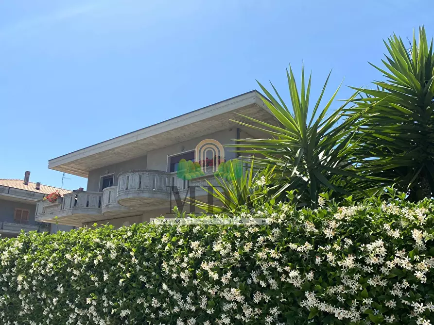 Immagine 1 di Appartamento in vendita  in via del Concordato a Alba Adriatica