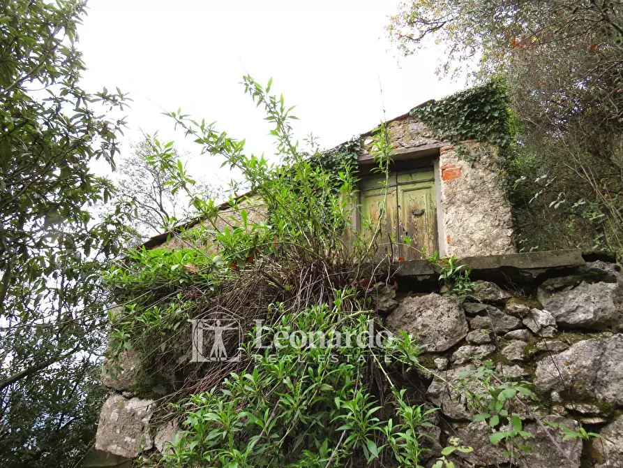 Immagine 1 di Terreno edificabile in vendita  in Greppolungo a Camaiore