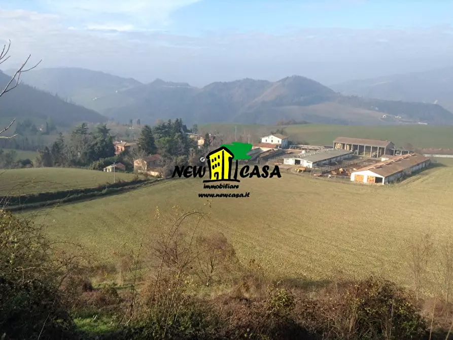 Immagine 1 di Azienda agricola in vendita  a Civitella Di Romagna