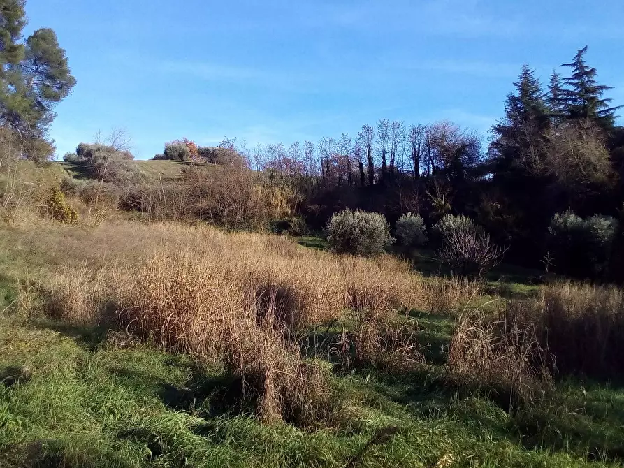 Immagine 1 di Terreno edificabile in vendita  a Ascoli Piceno