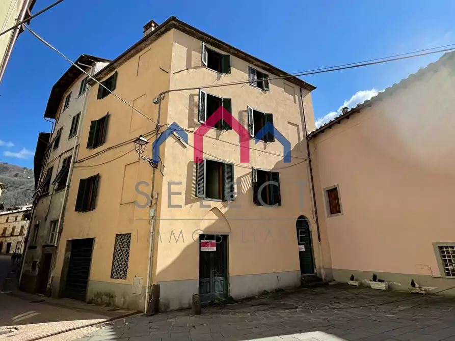 Immagine 1 di Palazzo in vendita  a Borgo A Mozzano