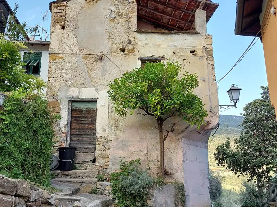 Immagine 1 di Casa indipendente in vendita  in Via Santa Maria Maddalena a Diano Arentino