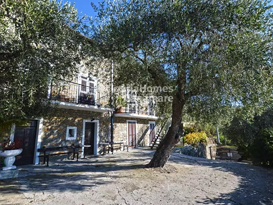 Immagine 1 di Villa in vendita  in sp57 a Bordighera