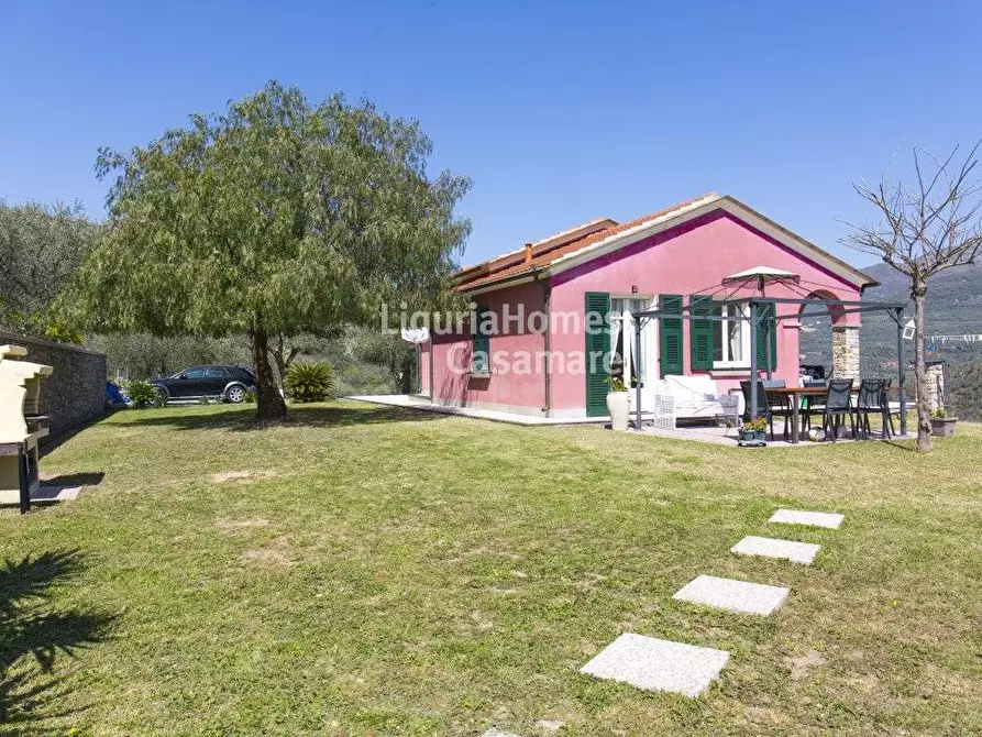 Immagine 1 di Villa in vendita  in Strada Provinciale a Chiusanico
