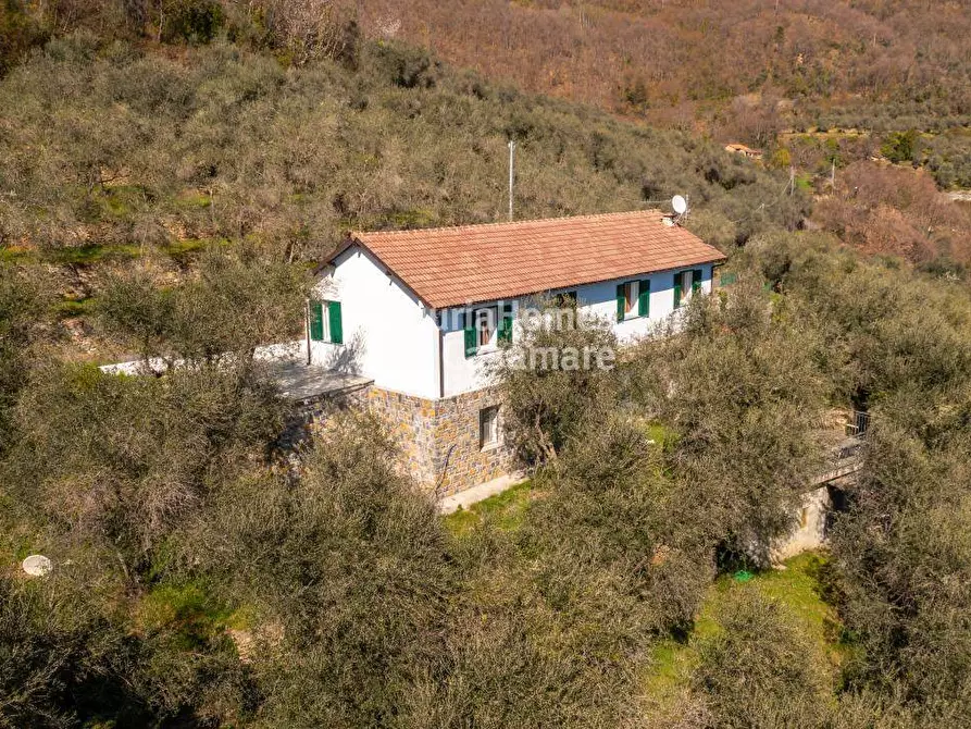 Immagine 1 di Villa in vendita  in via Don Cosimo Rossi a Borgomaro