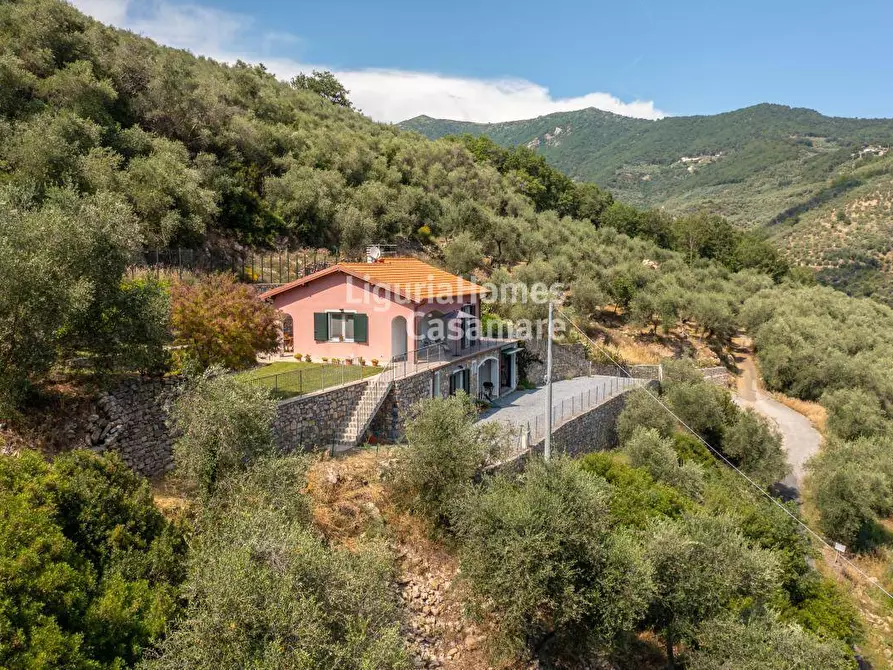 Immagine 1 di Villa in vendita  in Località Montanari a Chiusanico
