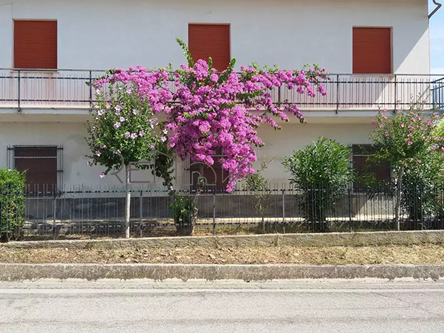 Immagine 1 di Casa indipendente in vendita  in Strada Provinciale 262 a Mosciano Sant'angelo
