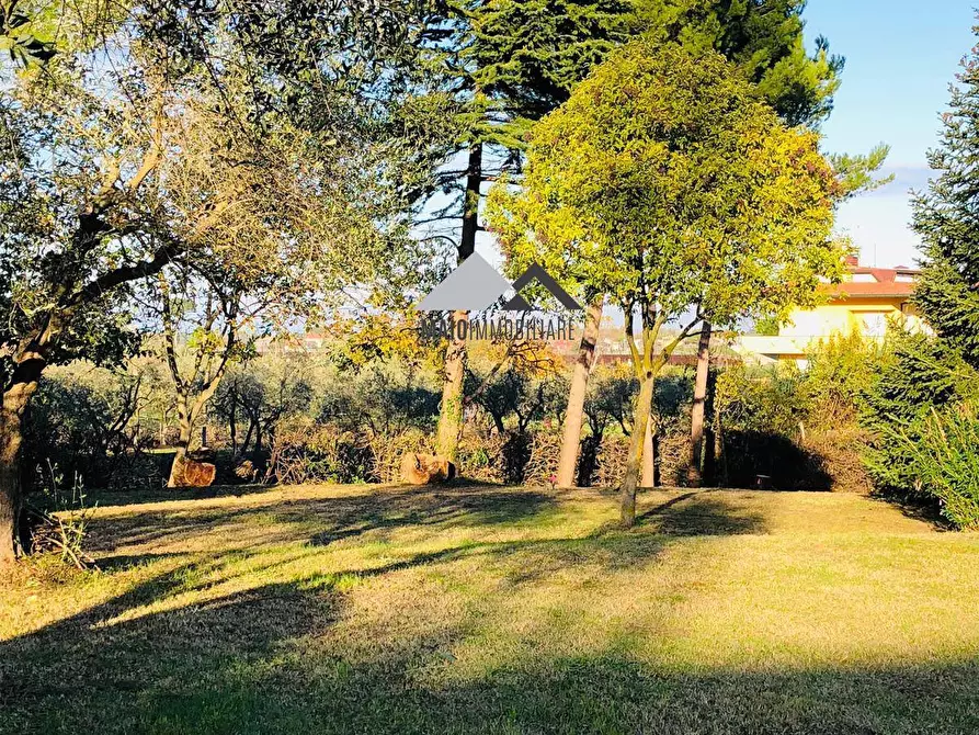 Immagine 1 di Villa in vendita  in VIA CAMILLUCCIA a Misano Adriatico