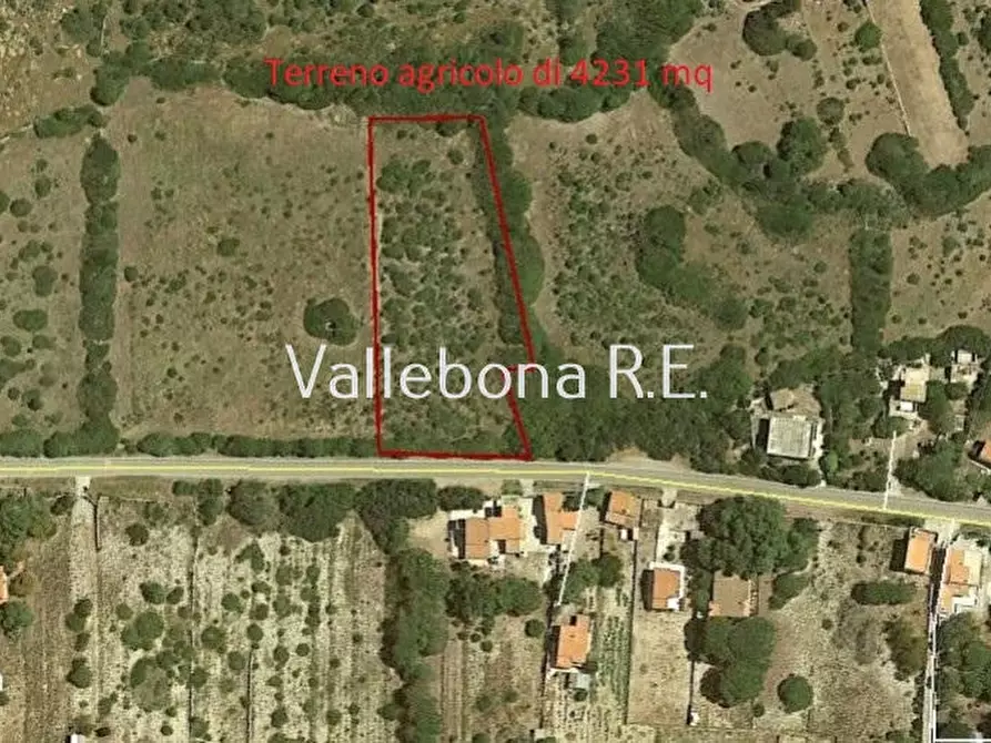 Immagine 1 di Terreno edificabile in vendita  in Località Spalmatore a Carloforte