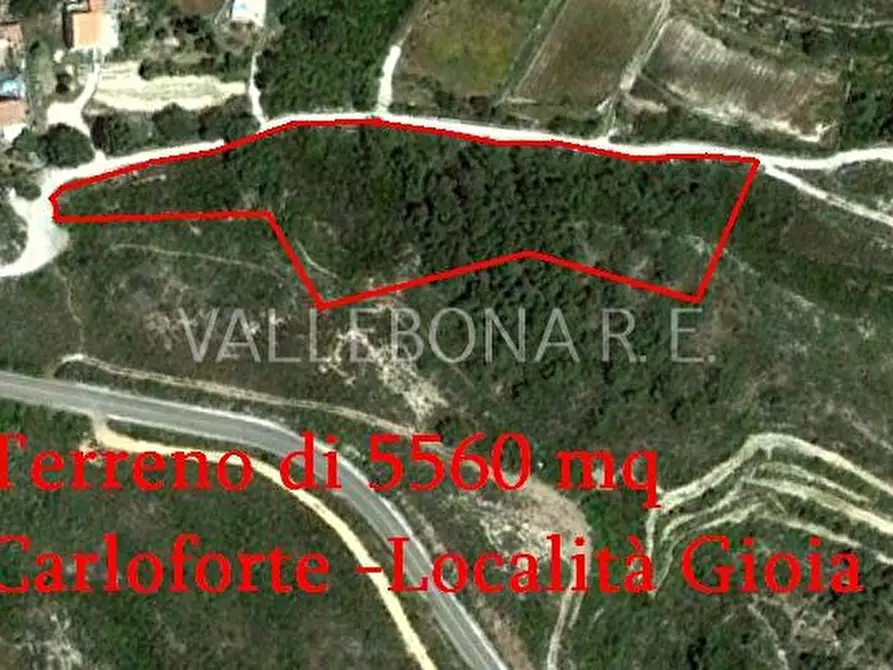 Immagine 1 di Terreno edificabile in vendita  in Località Gioia a Carloforte
