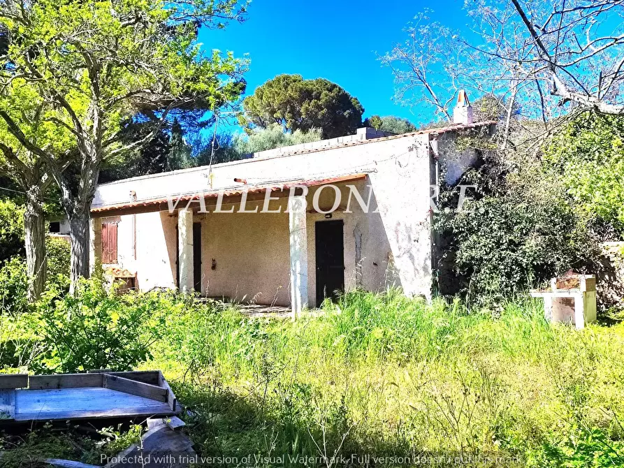 Immagine 1 di Villa in vendita  in Località Macchione a Carloforte