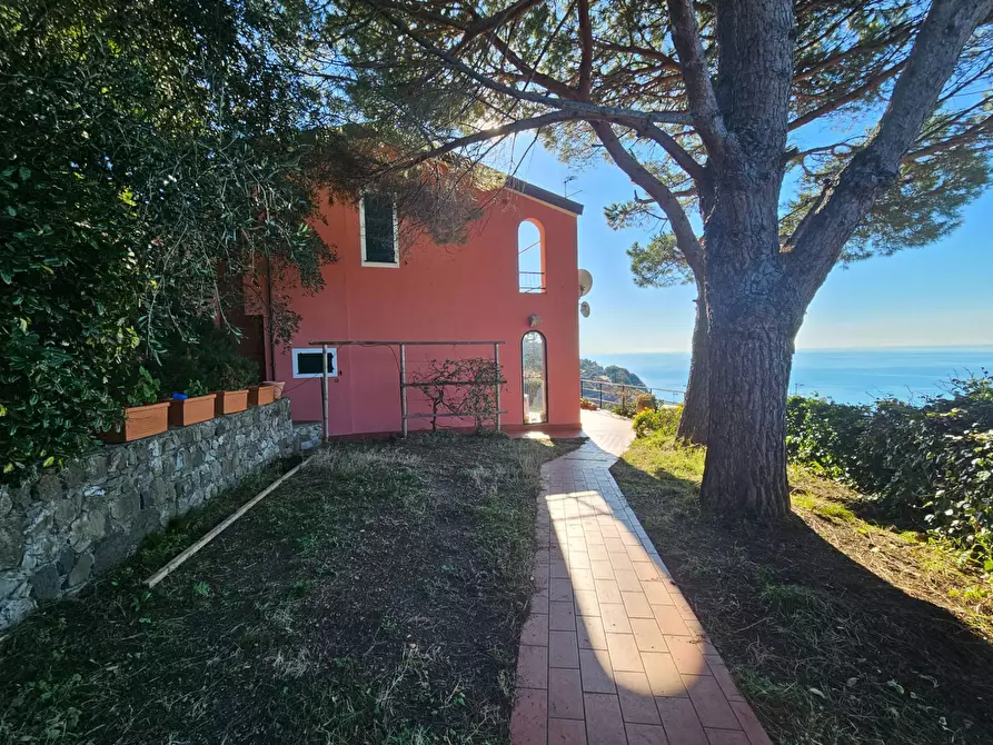 Immagine 1 di Villa in affitto  a Avegno