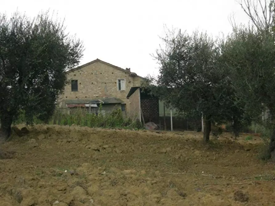 Immagine 1 di Rustico / casale in vendita  in sant'egidio a Monsampolo Del Tronto