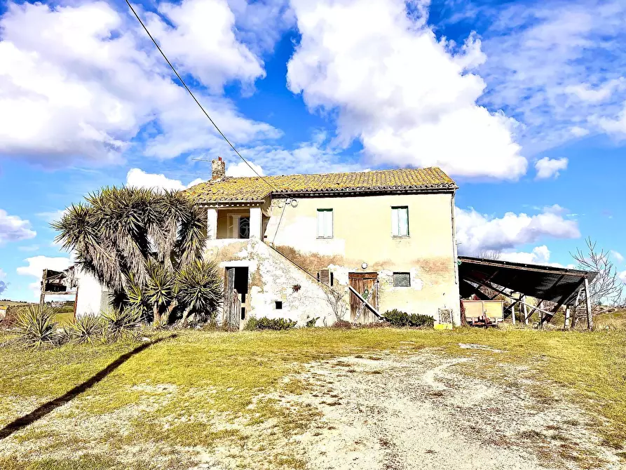 Immagine 1 di Azienda agricola in vendita  in Via Ferretti a Castorano