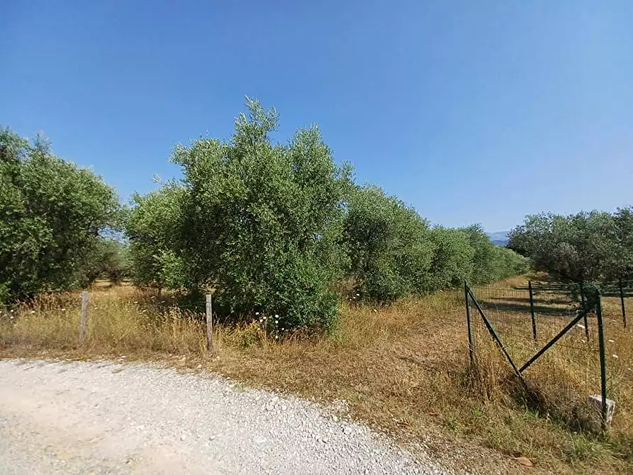 Immagine 1 di Terreno edificabile in vendita  in via circonvallazione basciano a Alatri