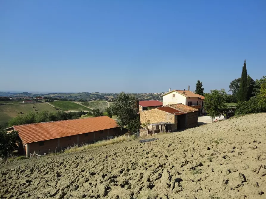 Immagine 1 di Azienda agricola in vendita  in colognola a Cingoli