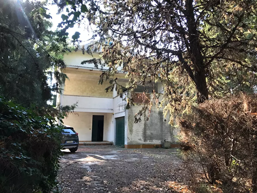 Immagine 1 di Villa in vendita  in CONTRADA SAN TOMMASO a Paglieta