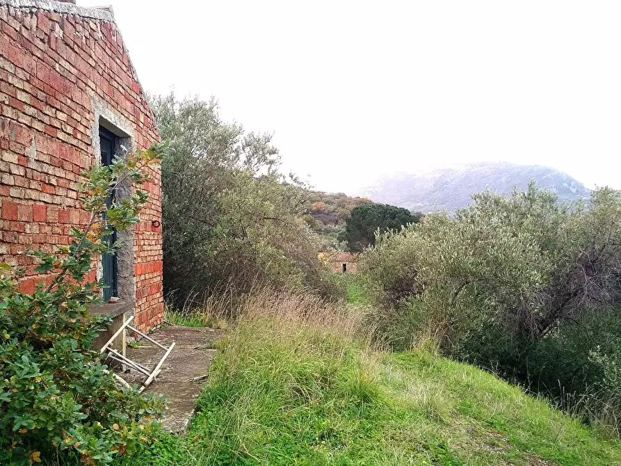 Immagine 1 di Terreno edificabile in vendita  a Collesano