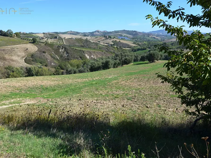 Immagine 1 di Azienda agricola in vendita  in Contrada Ribbio a Castignano