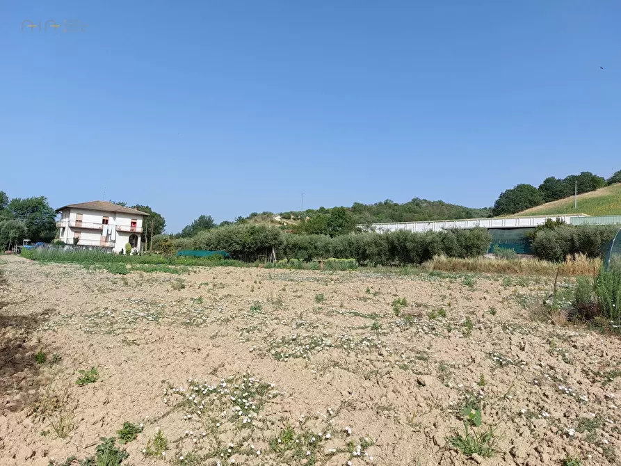 Immagine 1 di Terreno edificabile in vendita  in Via Penna a Ripatransone