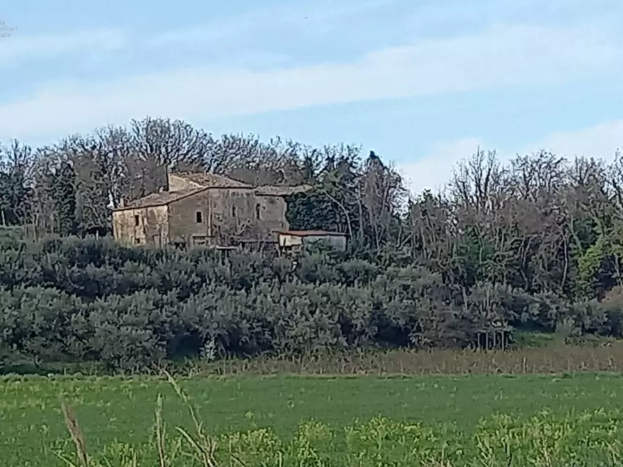 Immagine 1 di Rustico / casale in vendita  in Contrada Montecalvario a Montalto Delle Marche