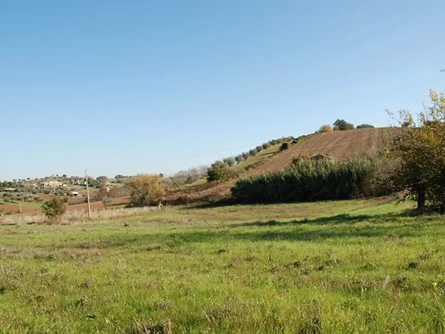 Immagine 1 di Terreno edificabile in vendita  a Ancarano