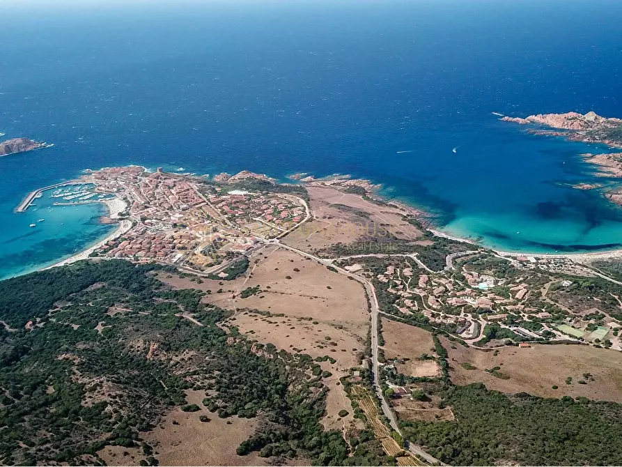 Immagine 1 di Villa in vendita  a Trinità D'agultu E Vignola