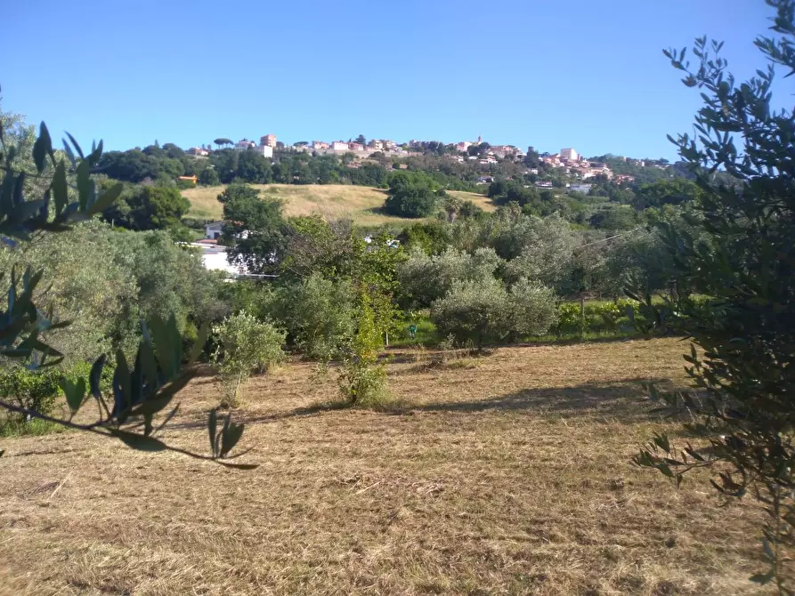 Immagine 1 di Terreno edificabile in vendita  in Via Strada Vicinale Del Basso a Ardea