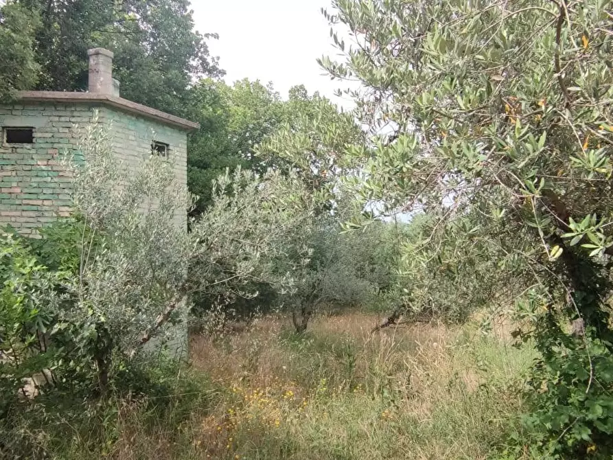 Immagine 1 di Terreno edificabile in vendita  a Ascoli Piceno