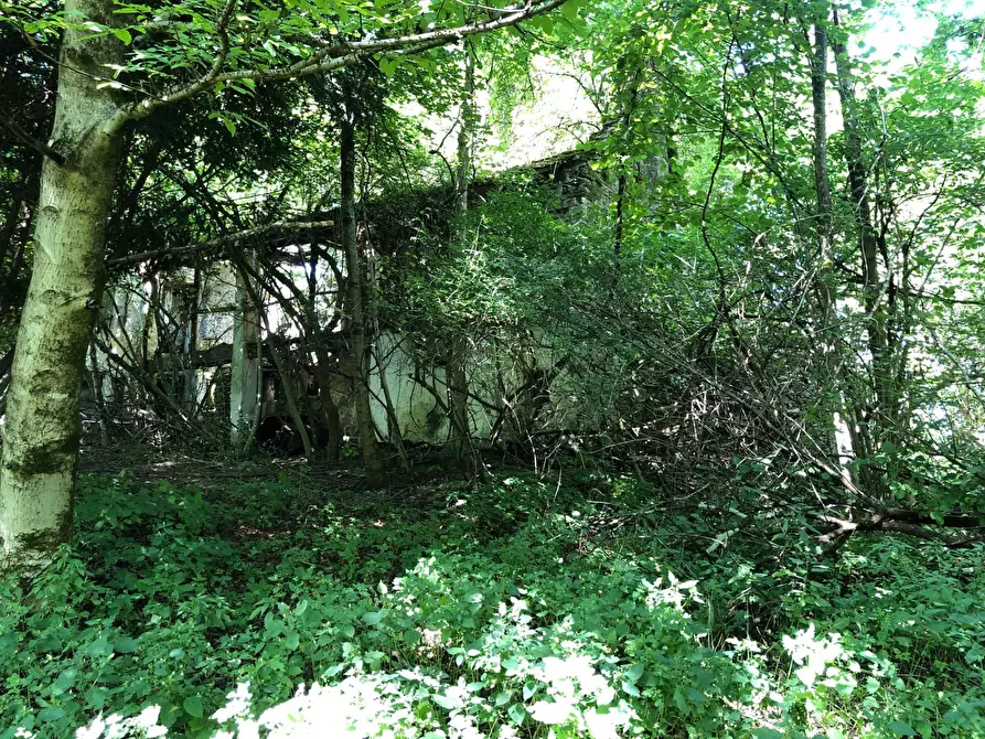 Immagine 1 di Abitazione tipica in vendita  in via samprogno a Borgo Valbelluna