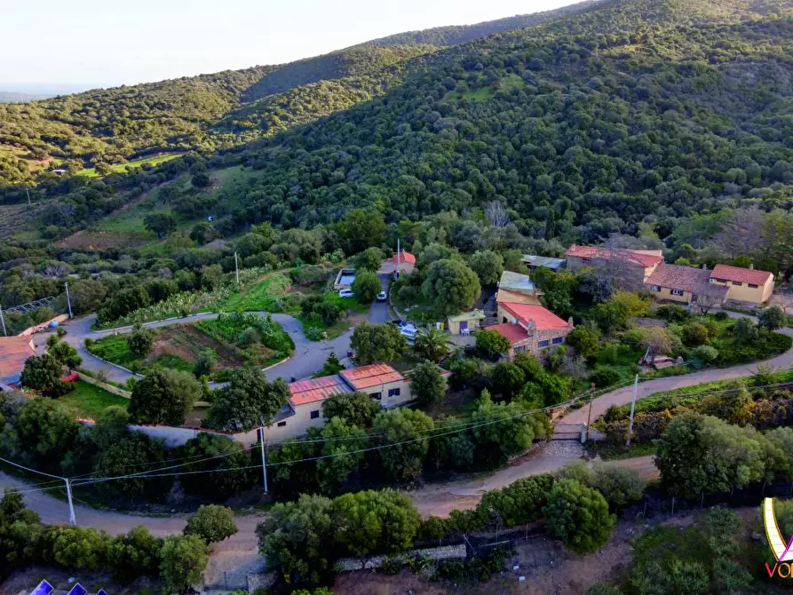 Immagine 1 di Villa in vendita  in VIA PLEBI a Olbia