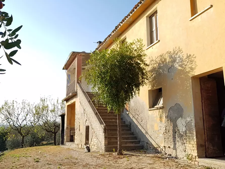 Immagine 1 di Rustico / casale in vendita  in CONTRADA PAGLIARE a Monsampolo Del Tronto
