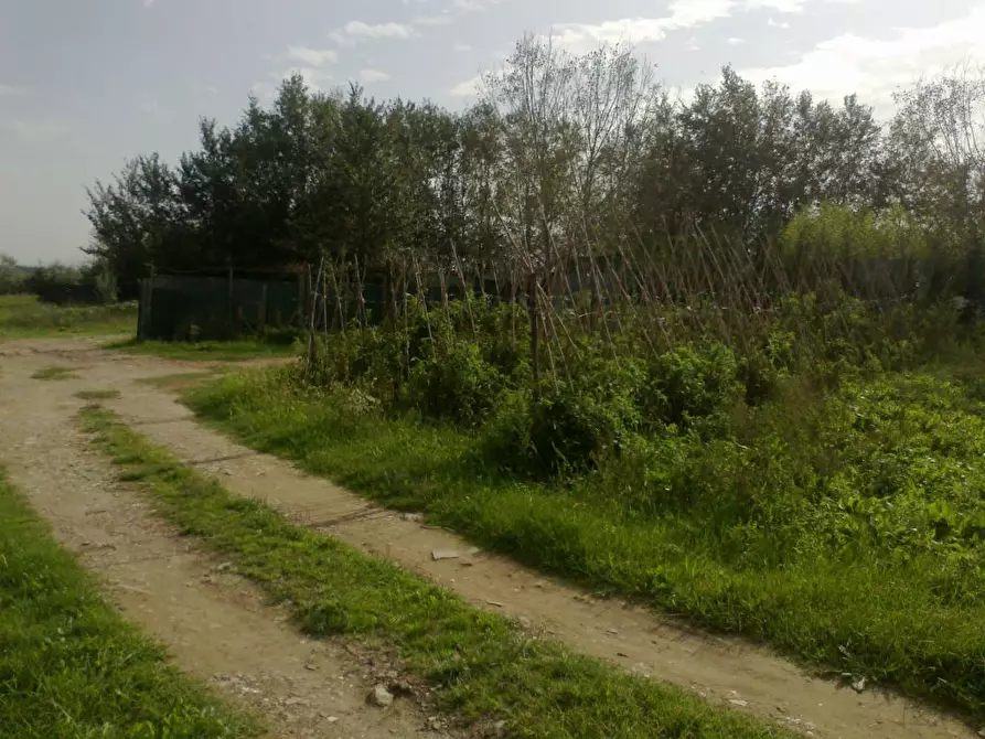 Immagine 1 di Terreno edificabile in vendita  in via fosso vecchio a Cascina