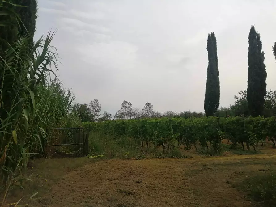 Immagine 1 di Terreno edificabile in vendita  a Lari