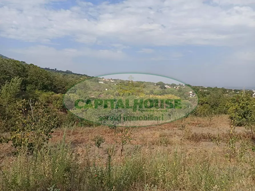 Immagine 1 di Terreno edificabile in vendita  in Località Bosco a Somma Vesuviana
