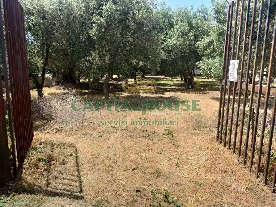 Immagine 1 di Terreno edificabile in vendita  in via Cupa d'Ercole a Caserta