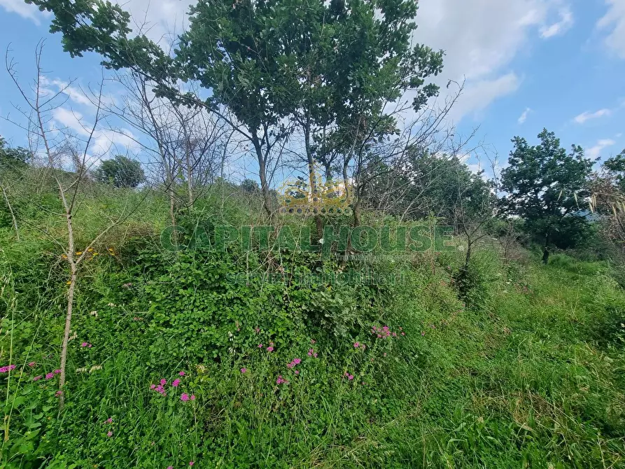 Immagine 1 di Terreno edificabile in vendita  in via mellino a Montoro Superiore