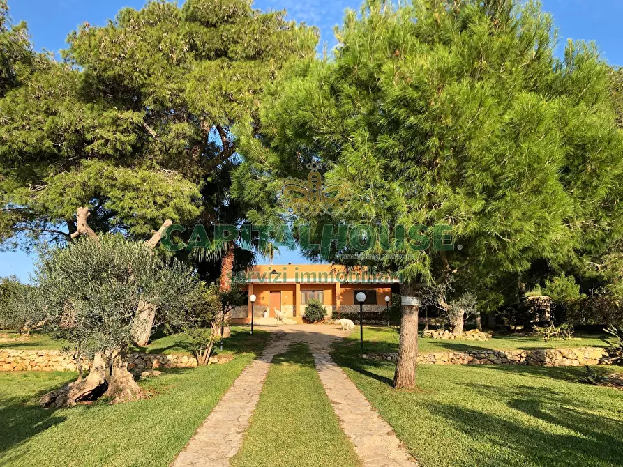 Immagine 1 di Villa in vendita  a Sannicola