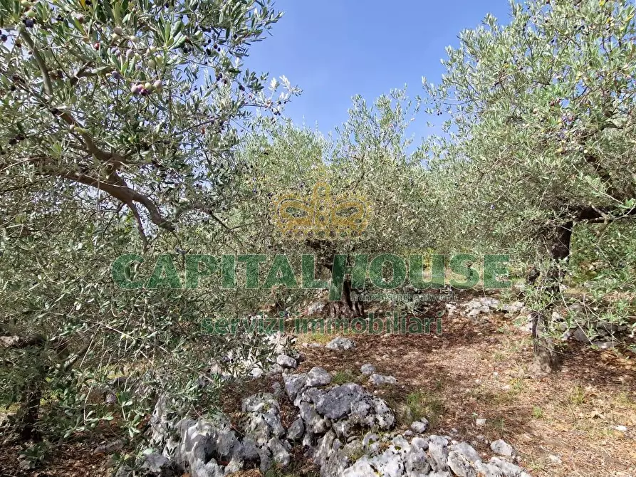 Immagine 1 di Terreno edificabile in vendita  a Camposano