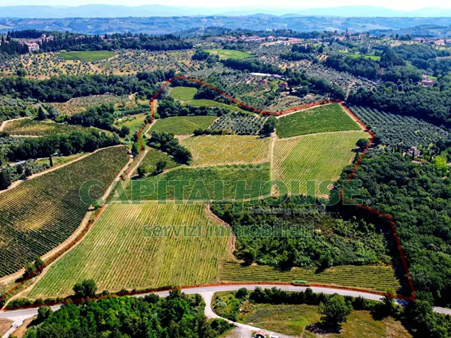 Immagine 1 di Azienda agricola in vendita  a Montespertoli