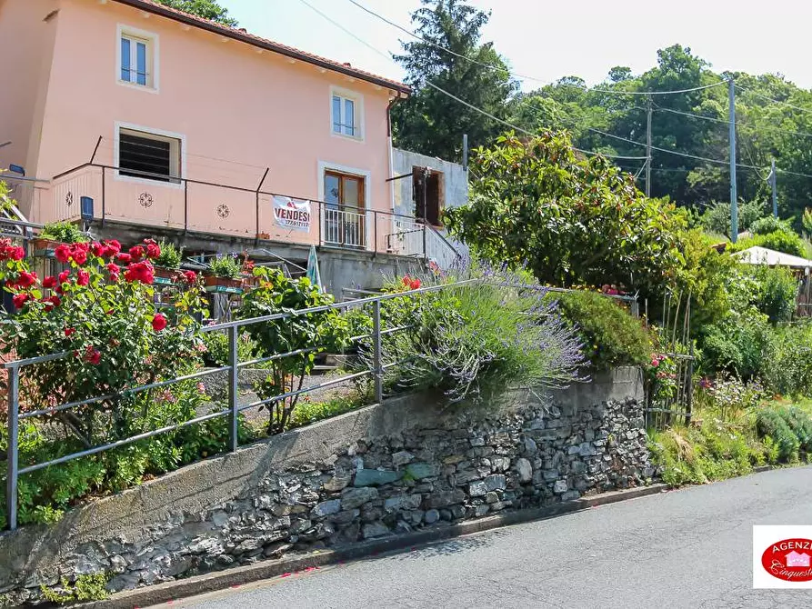 Immagine 1 di Casa indipendente in vendita  in Via Mezzano a Mioglia