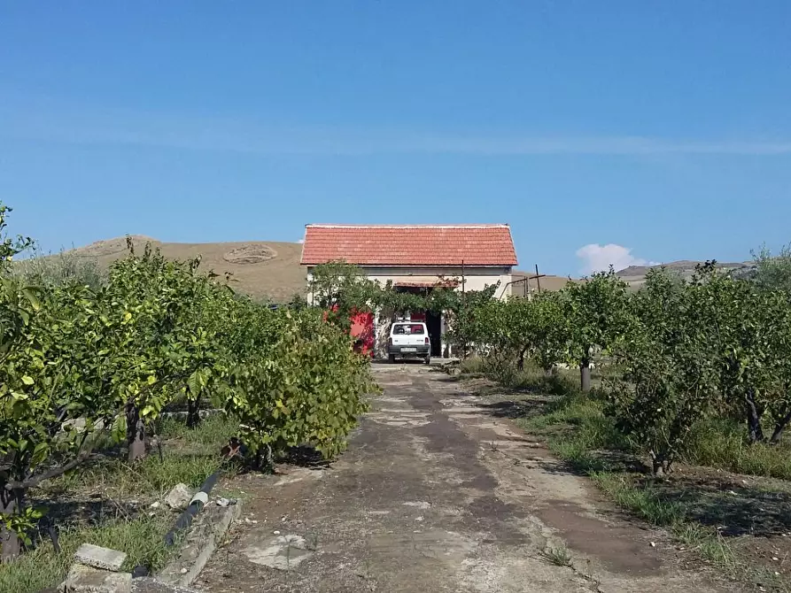 Immagine 1 di Terreno edificabile in vendita  a Paterno'