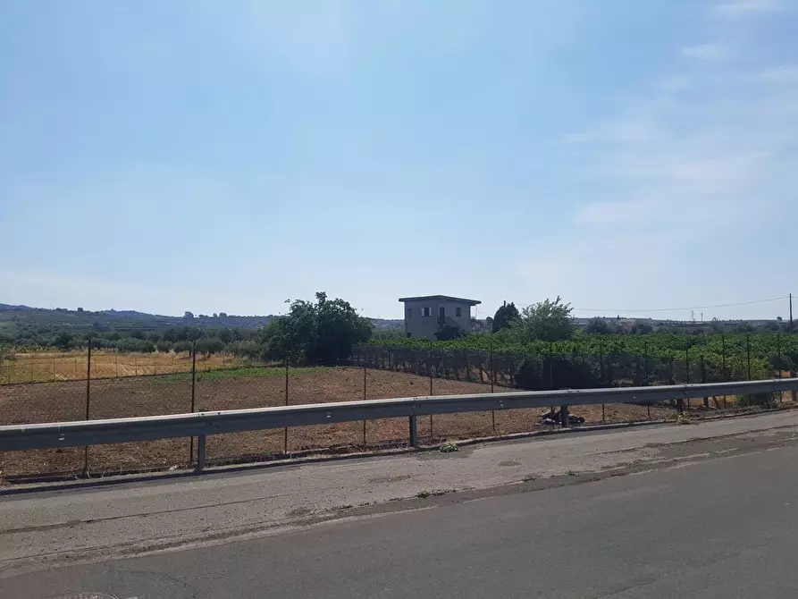 Immagine 1 di Terreno edificabile in vendita  a Paterno'