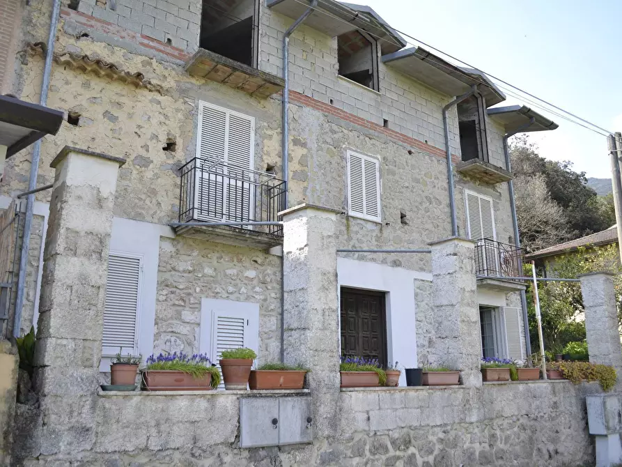 Immagine 1 di Villa in vendita  in scalelle a Campodimele